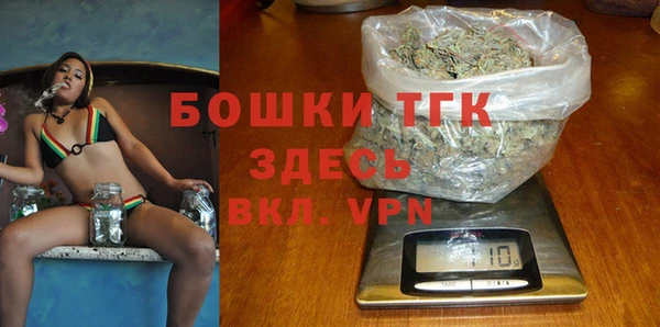крисы Алексин